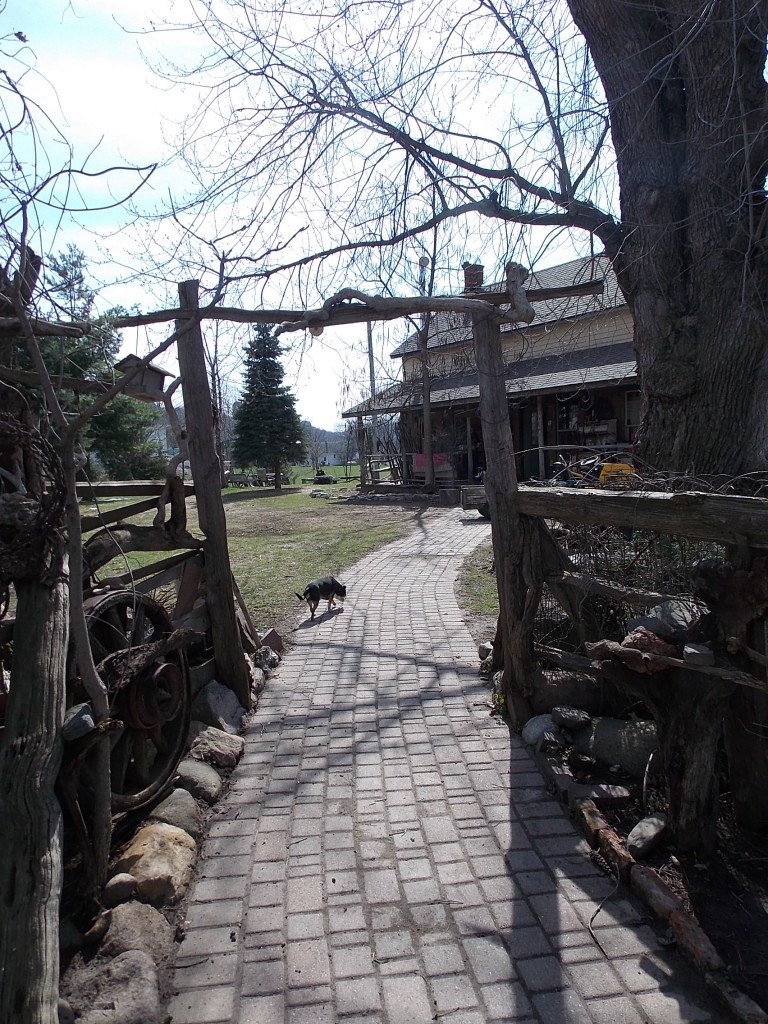 Andy entrance