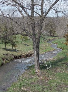andy creek