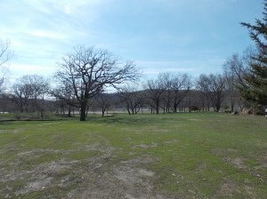 yard