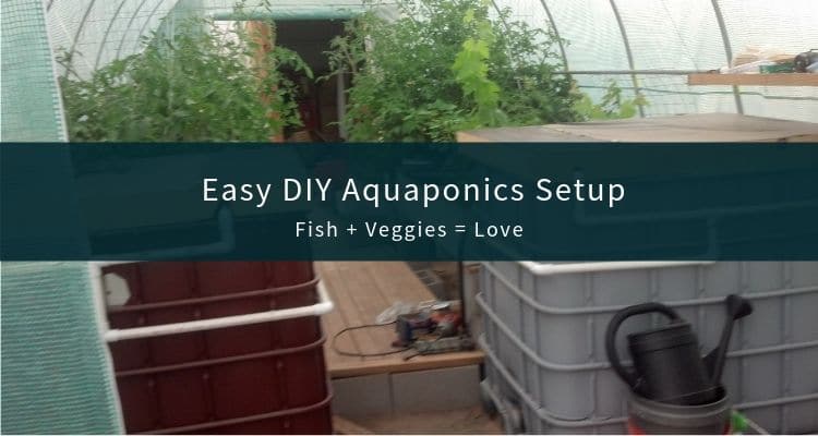 Aquaponics