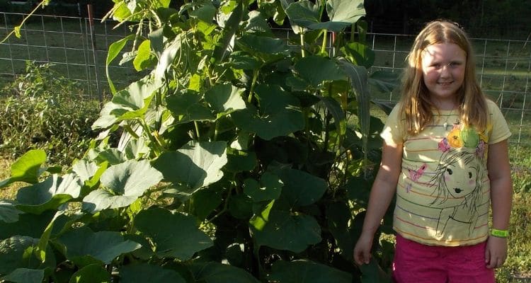 Three Sisters Gardening