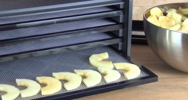 Excalibur 3500B 5 Tray Deluxe Dehydrator - Live Love Fruit