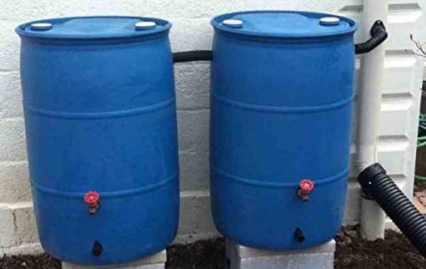 Rainwater Harvesting