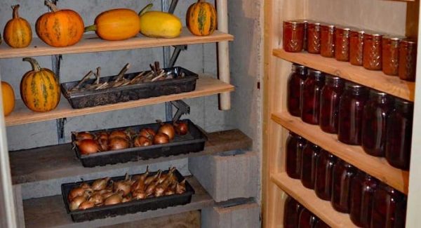 Root Cellar for Food Preservation