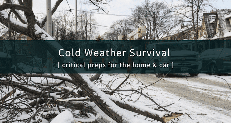 Cold Weather Survival Tips